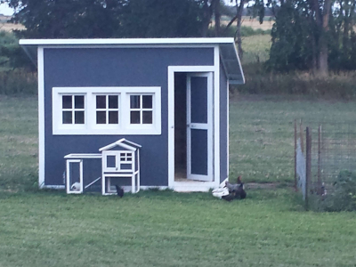 Demo Christian School photo